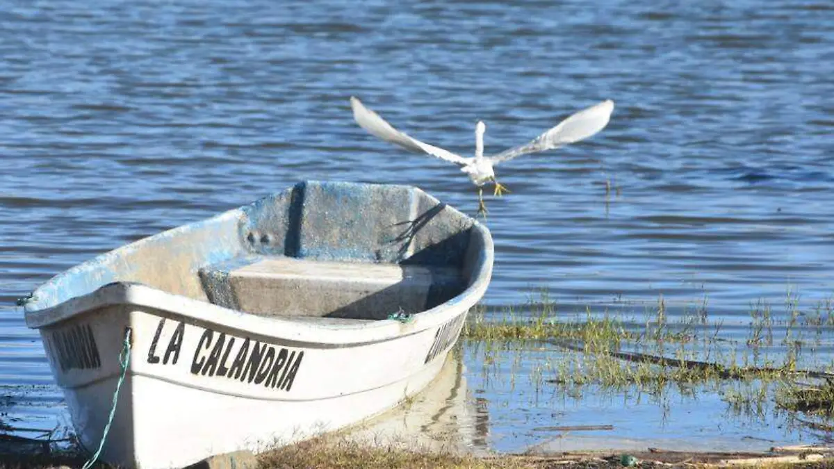 Hay disponibilidad de agua para la pesca